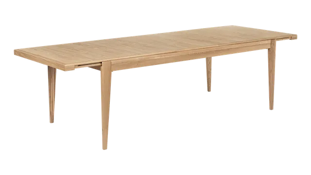 S-Table Dining Table - Rectangular Extendable