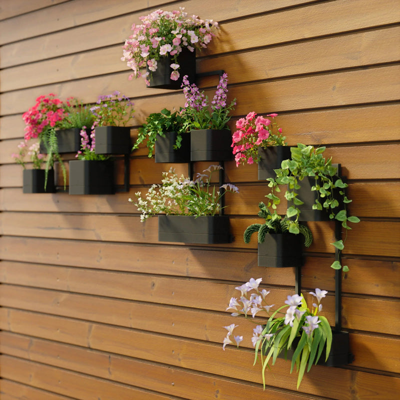 Cubiko Wall Planter - Umbra Pots & Planters - Black - HORNE