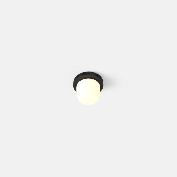 Hoist Flush Mount - No Shade - RBW Lighting - Matte Black - Small Glass Diffuser - 2700K (warm white) - HORNE