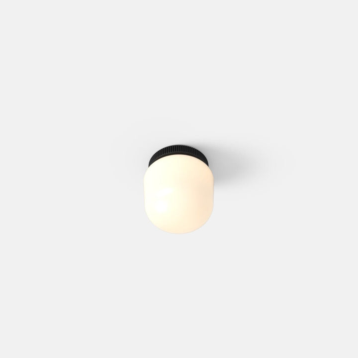 Hoist Flush Mount - No Shade - RBW Lighting - Matte Black - Large Glass Diffuser - 2700K (warm white) - HORNE