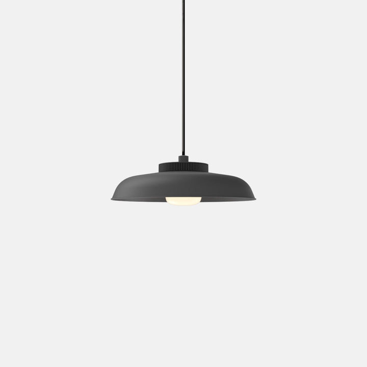 Hoist Pendant - Medium Shade - RBW Lighting - Matte Black - Small Glass Diffuser - 2700K (warm white) - HORNE