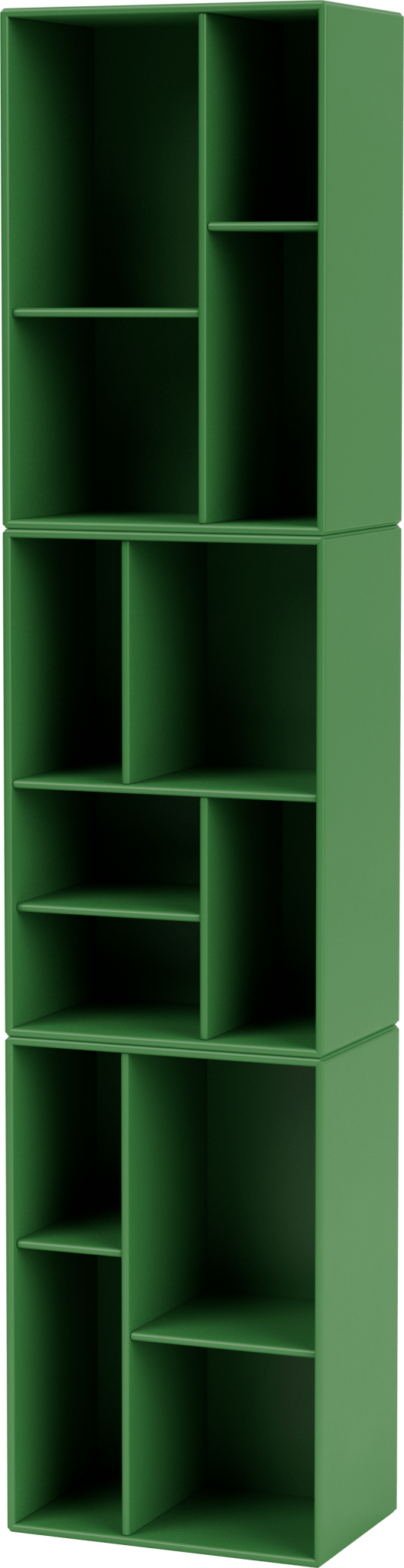 Loom Slim Bookcase - Wall Mounted - Montana - Shelving - Parsley - HORNE