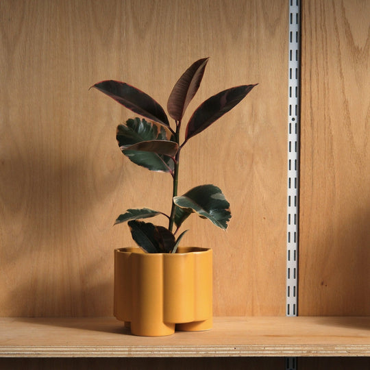Pillar Planter - Misewell Pots & Planters - Marigold - HORNE
