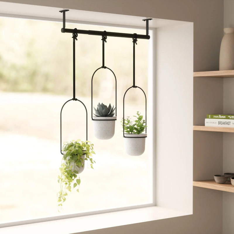 Triflora Hanging Planters - Set of 3 - Umbra Pots & Planters - HORNE