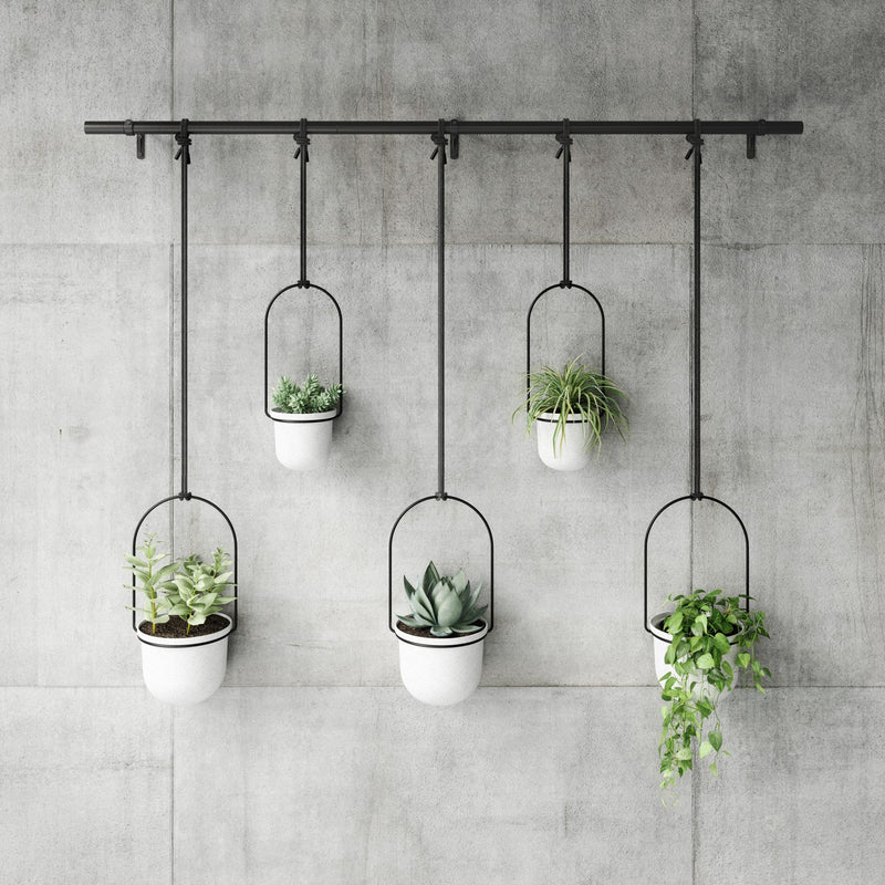 Triflora Hanging Planters - Set of 5 - Umbra Pots & Planters - Black - HORNE