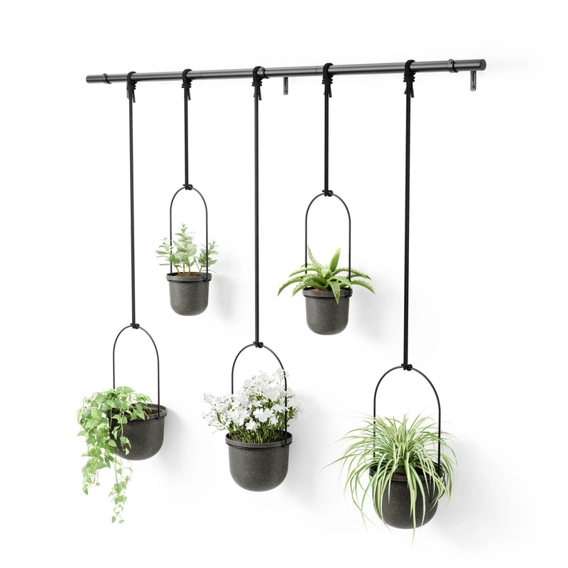 Triflora Hanging Planters - Set of 5 - Umbra Pots & Planters - Black - HORNE