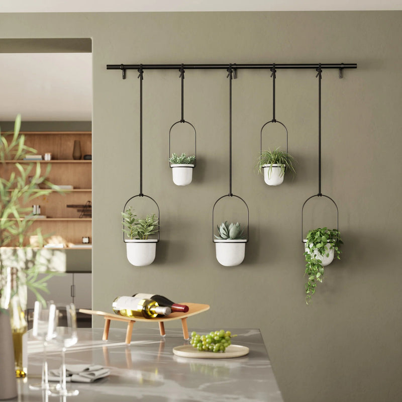 Triflora Hanging Planters - Set of 5 - Umbra Pots & Planters - Black - HORNE