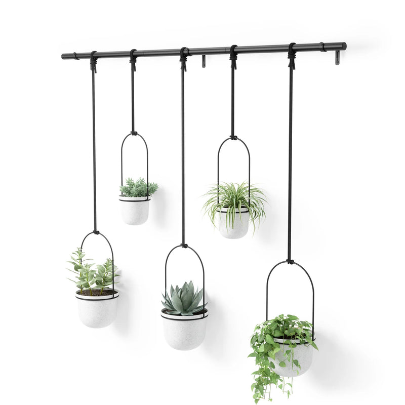 Triflora Hanging Planters - Set of 5 - Umbra Pots & Planters - Black - HORNE