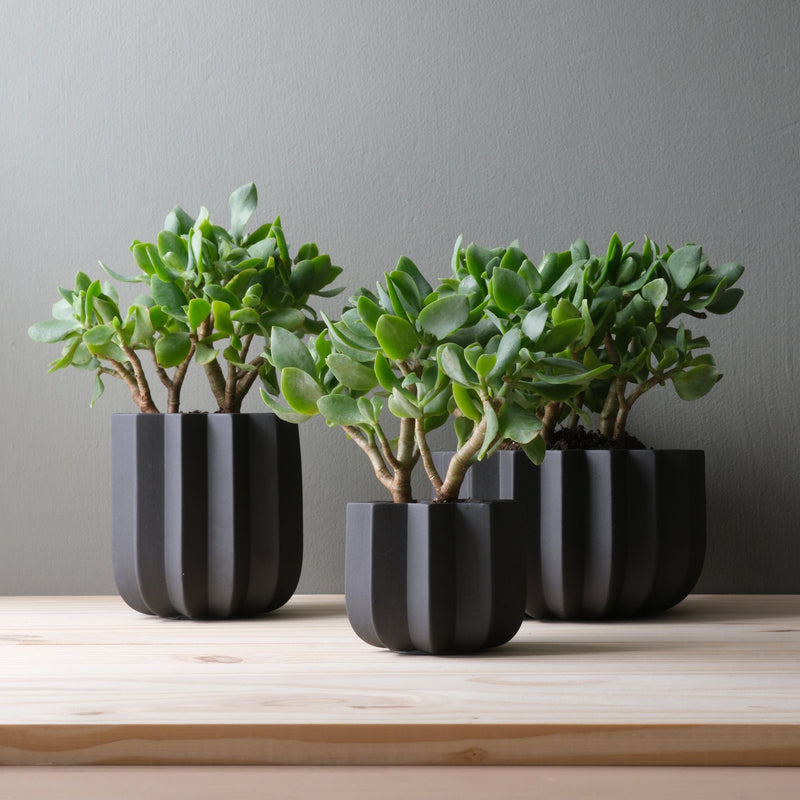 Wrap Planter - Misewell Pots & Planters - dune - 4 inch - HORNE