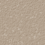 Nutmeg