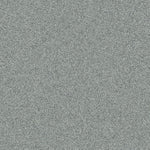 Lapilli Grey