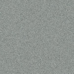 Lapilli Grey