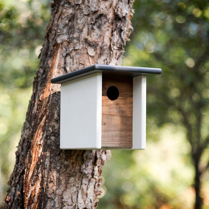 Arbor Modern Birdhouse - Loll Designs - Outdoor Accessories - Sunset Orange - White - HORNE