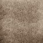 Sahara