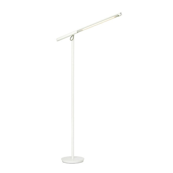 Pablo Brazo Task Floor Lamp