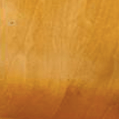 Honey Lacquer