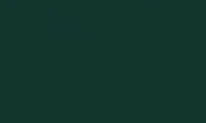 Seat/Shell Finish: Evergreen