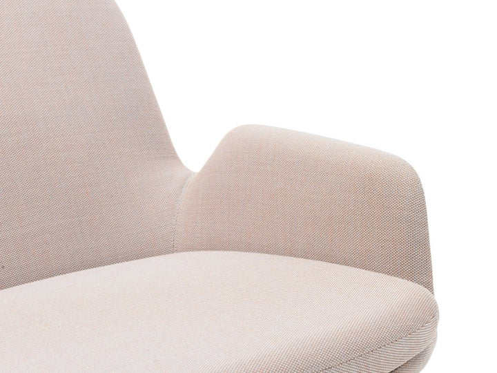 Era Lounge Chair - Low