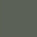 Green Khaki - 45