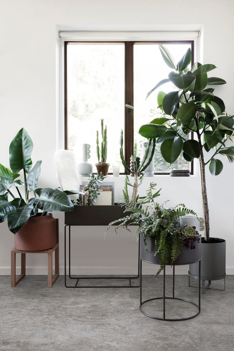 Plant Box - Ferm Living - Office Accessories - Bright Blue - HORNE
