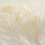 Natural White