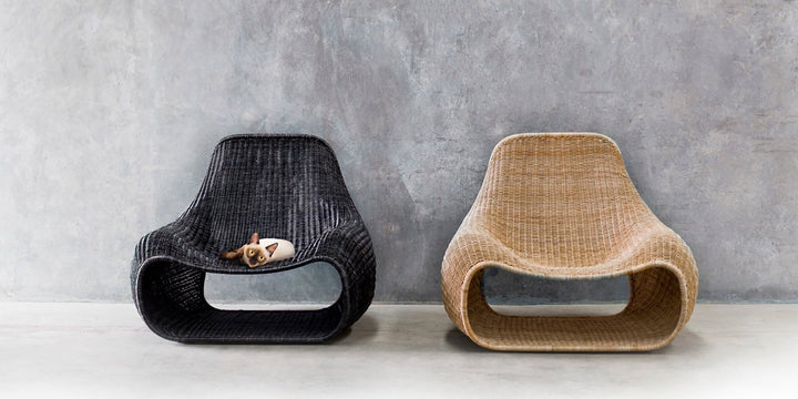 Snug Rattan Lounge Chair - Feelgood Designs - Chairs - Dark Grey - HORNE