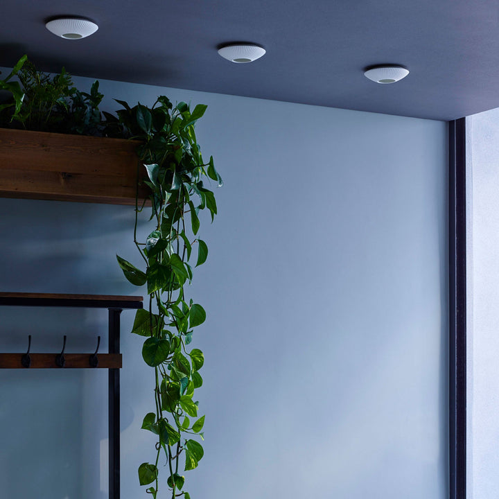 Sopra Downlight - Original BTC - Ceiling Lights - Ridged - HORNE