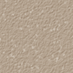 Nutmeg
