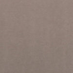 Velvet - Vicuna